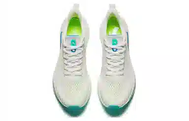 Anta 6