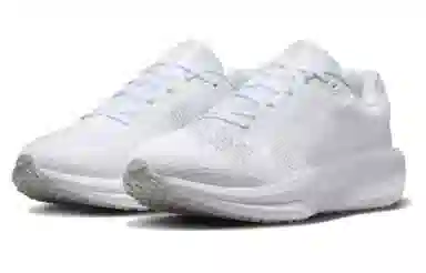 Nike AIR WINFLO 11