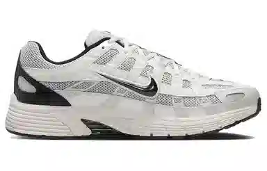 Nike P-6000 Light Silver