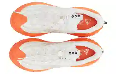 Nike ACG Mountain Fly Low 2