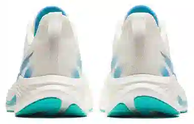 Anta 6