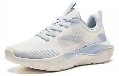 Anta