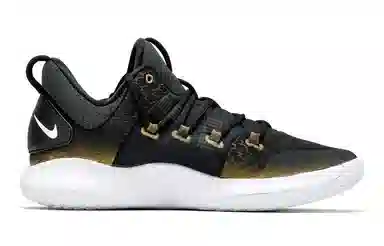 Nike Hyperdunk X Low Black Gold