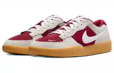 Nike SB Force 58