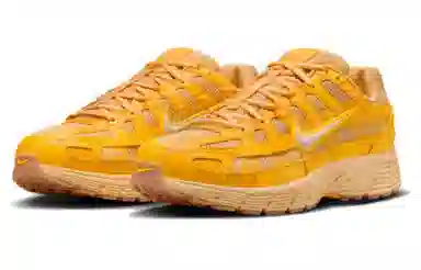 Nike P-6000
