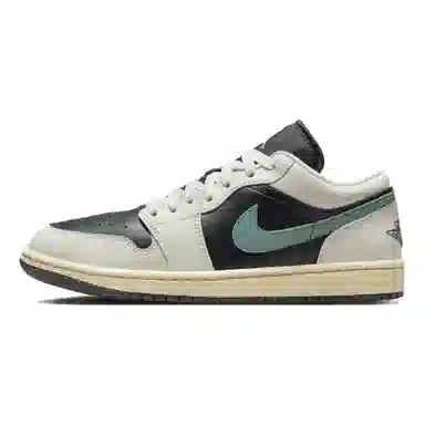 Jordan Air Jordan 1 Low 5.0