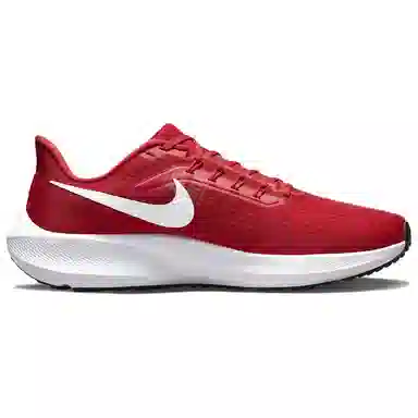 Nike Air Zoom Pegasus 39