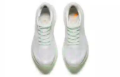Anta Pro
