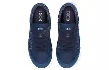 DIOR B33 Oblique