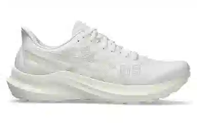 Asics GT-2000 12