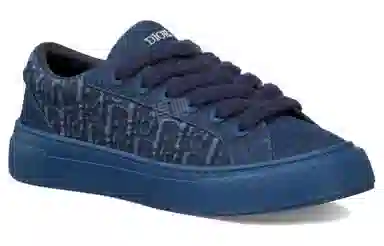 DIOR B33 Oblique