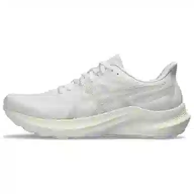 Asics GT-2000 12