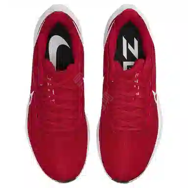 Nike Air Zoom Pegasus 39