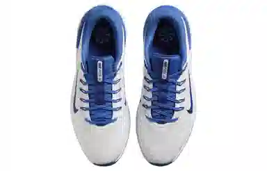 Nike Free Golf NN