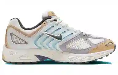 Nike Air Pegasus 2005