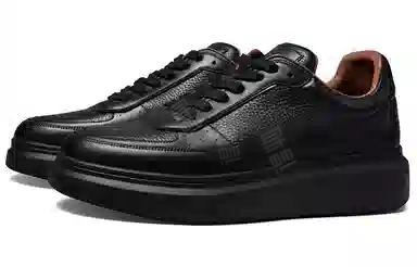 THOM WILLS trainer