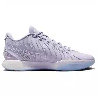 Nike Lebron 21 Purple