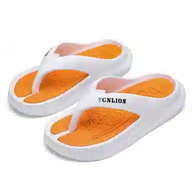 tonlion