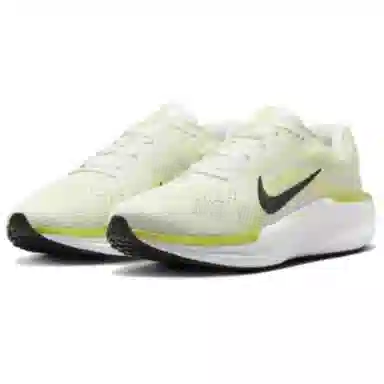 Nike AIR WINFLO 11