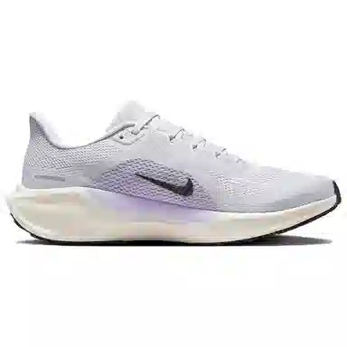 Nike Pegasus 41 Purple Gray