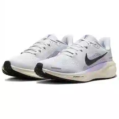 Nike Pegasus 41 Purple Gray