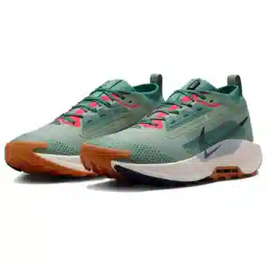 Nike Pegasus Trail 5