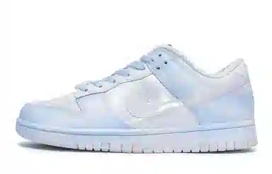 Nike Dunk SE 811