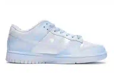 Nike Dunk SE 811