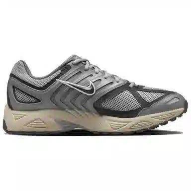 Nike Air Pegasus 2005