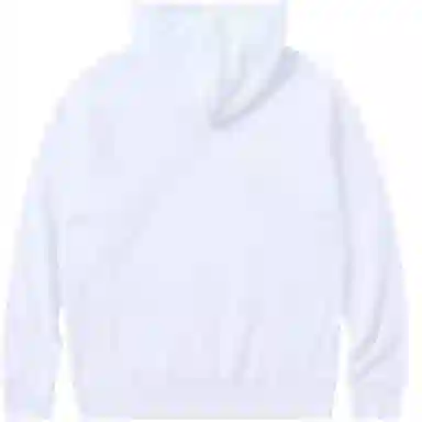 Champion Basic Hoodie