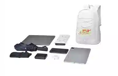 DRACONITE X approvallogo