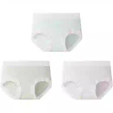 欧迪芬 桑蚕丝抑菌莫代尔简约三角中腰内裤 女款 组合装