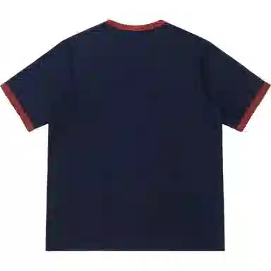 HIPANDA T