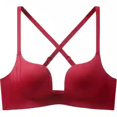 欧迪芬 聚拢小胸显大无钢圈文胸 女款