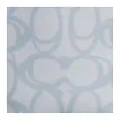 COACH City 17 Ice Blue