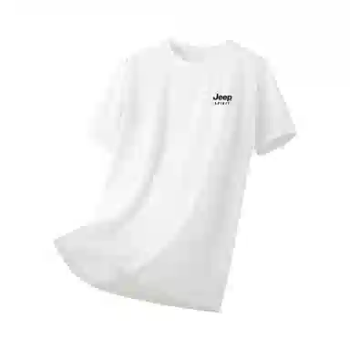 JEEP SPIRIT T