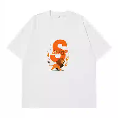 SAGP T