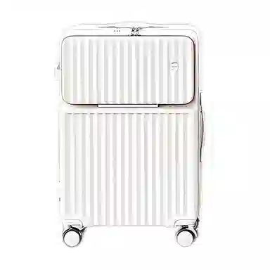 SEA LION PC 20242622