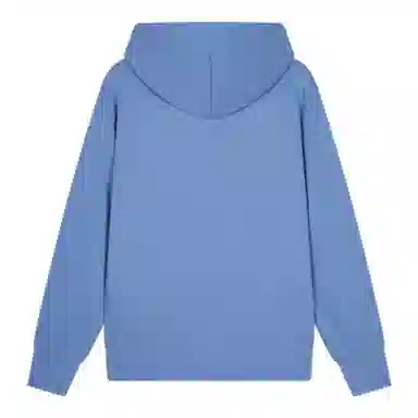 Champion Basic Hoodie