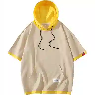 VNHP T