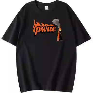 PWUE T