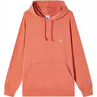 Champion Basic Hoodie
