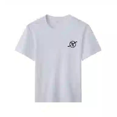mula ins T