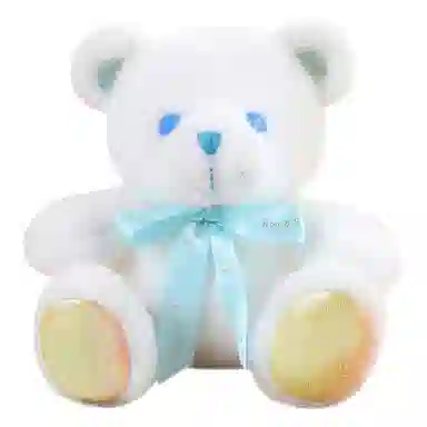 25cm