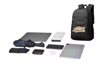 DRACONITE X approvallogo