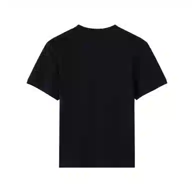 mula ins T