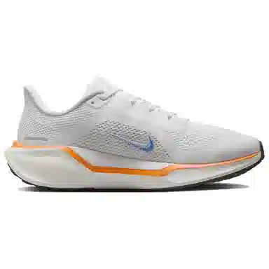 Nike Pegasus 41 Blueprint