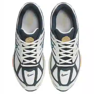 Nike Air Pegasus 2005