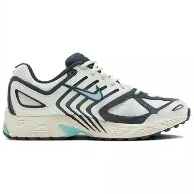 Nike Air Pegasus 2005