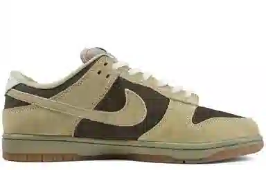 Nike Dunk SB 404 Not Found